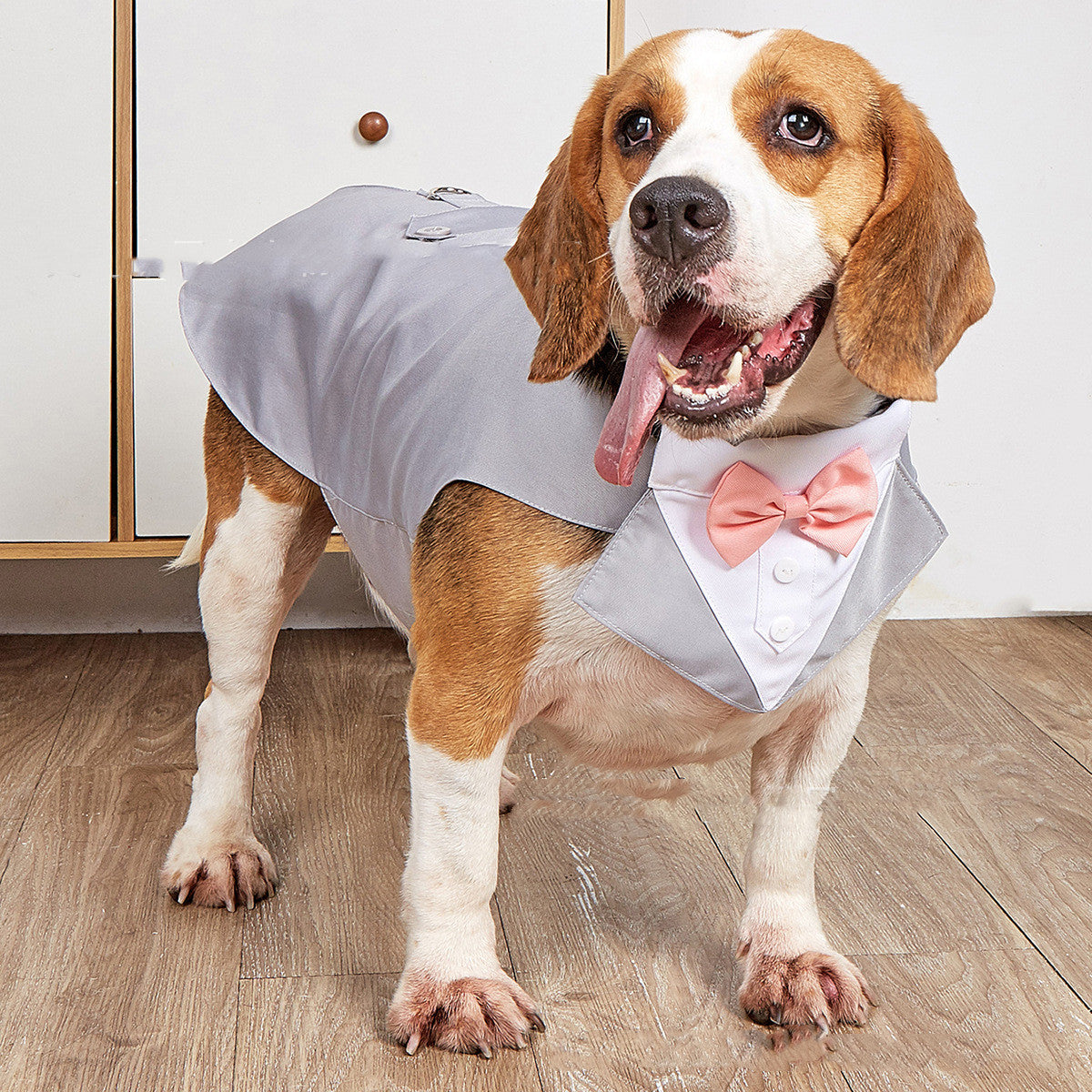 Pet Swallowtail Wedding Suit Jacket Formal Occasion Wear