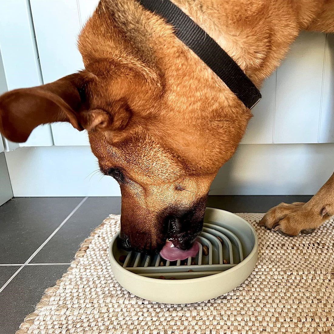 Simple Slow Feeding Pet Bowl For Healthier Eating