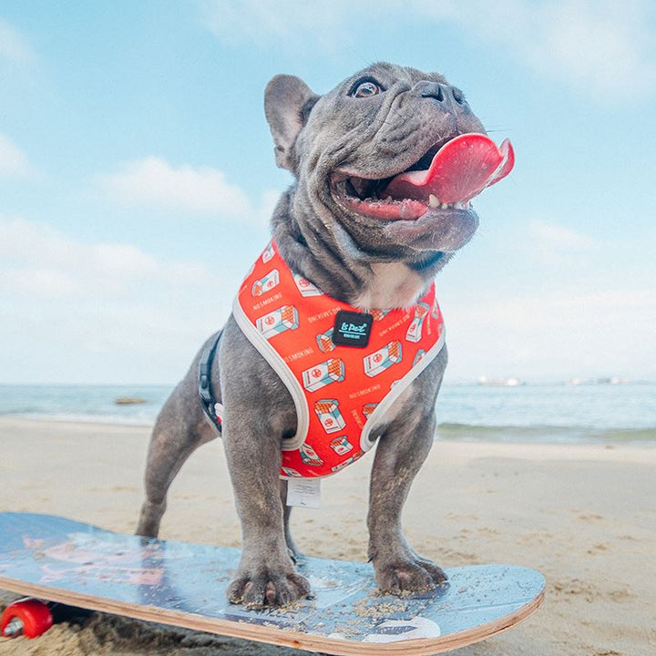 Adjustable Chest Strap Leash For Pets