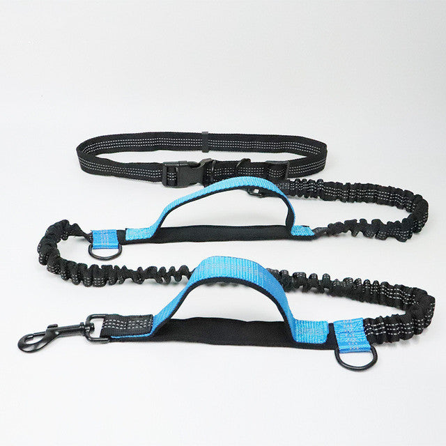Adjustable Pet Harness And Leash Set For Jogging