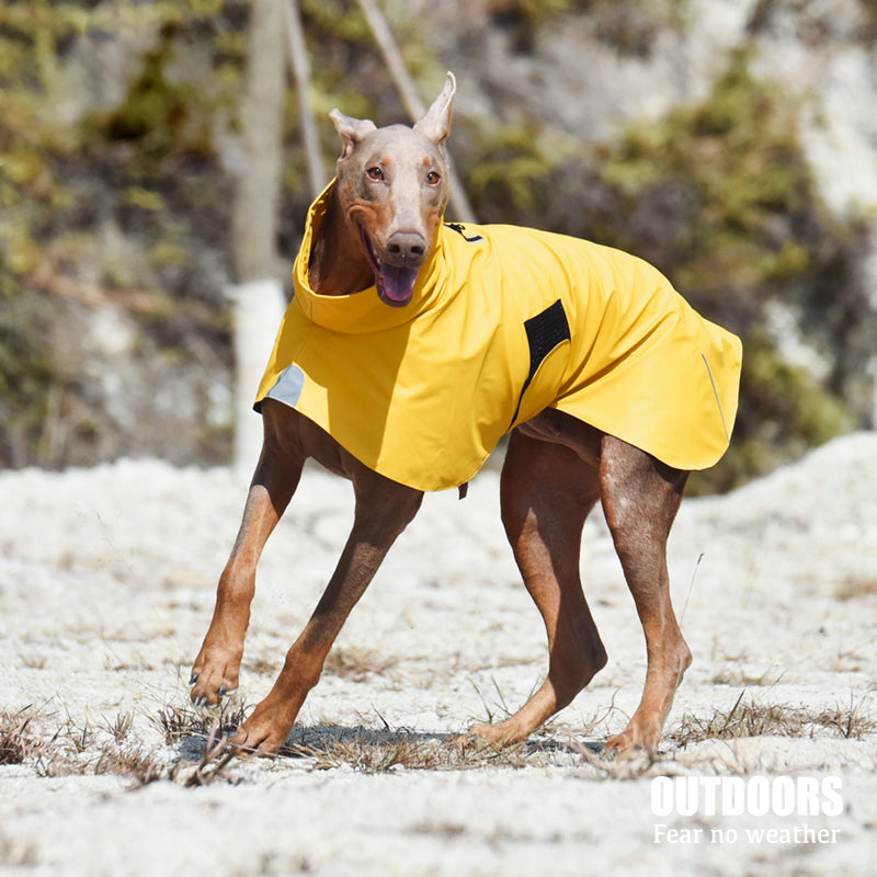 Pet Shell Jacket Waterproof Windproof Outdoor Raincoat