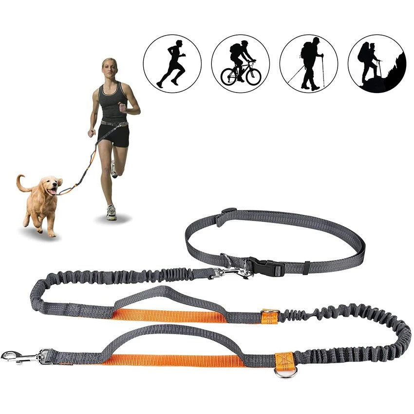 Adjustable Pet Harness And Leash Set For Jogging