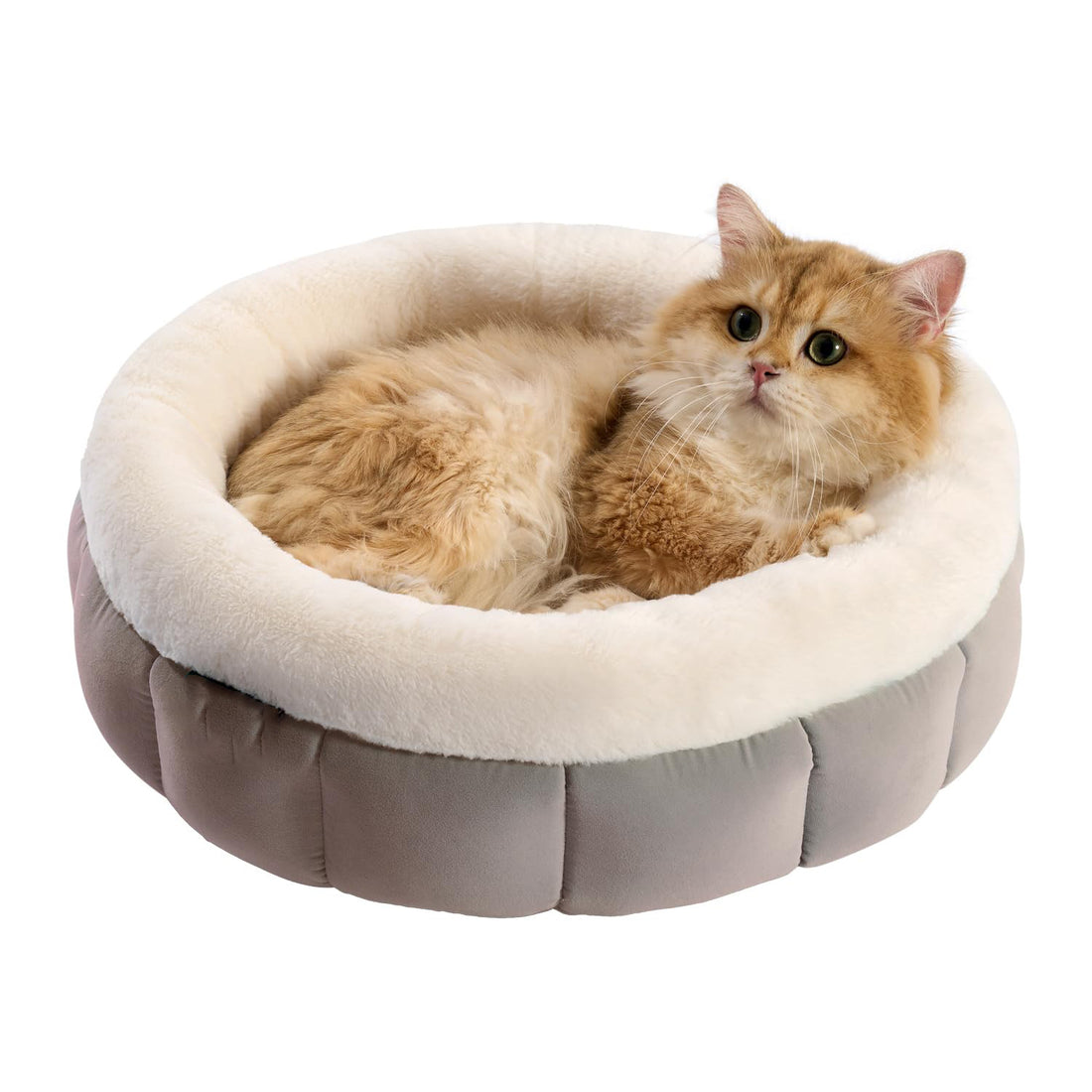 Round Donut Pet Bed Washable Anti Slip Comfortable Design