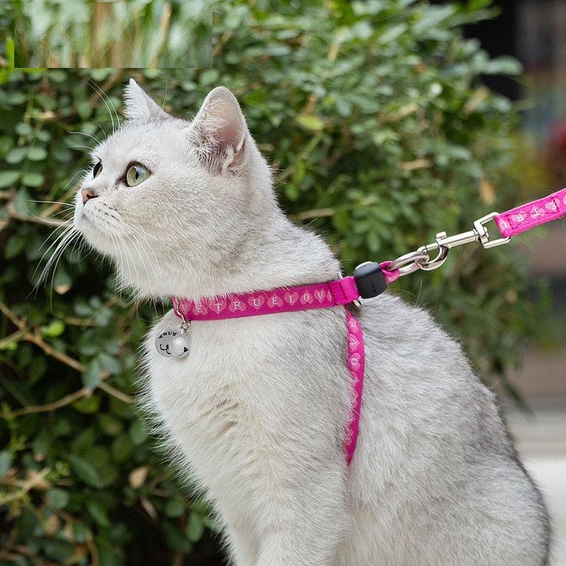 Adjustable Pet Harness Vest With Bell And Chest Strap Leash