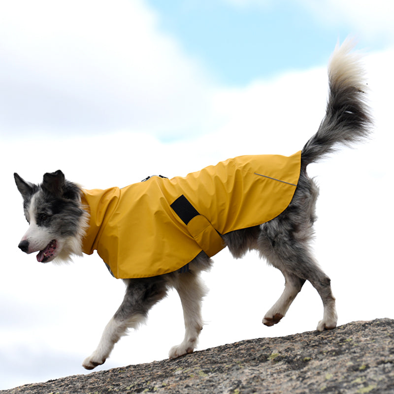 Pet Shell Jacket Waterproof Windproof Outdoor Raincoat