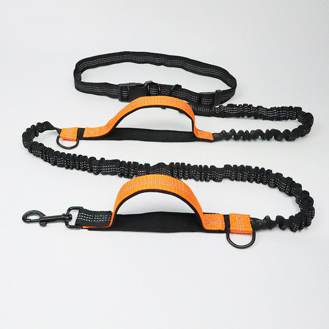 Adjustable Pet Harness And Leash Set For Jogging