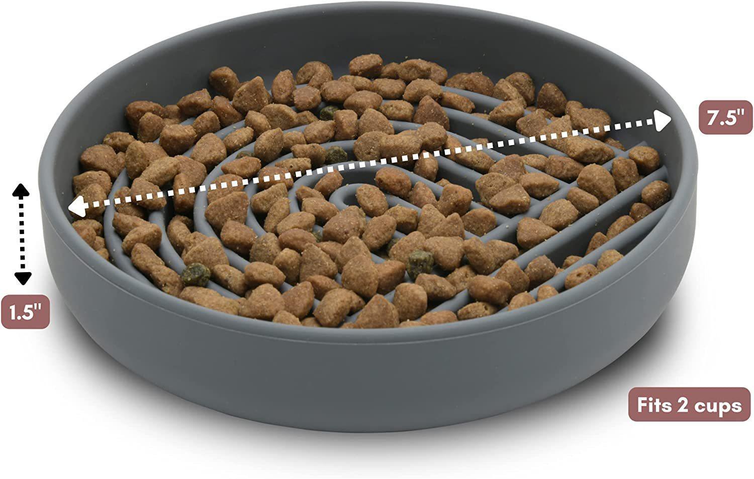 Simple Slow Feeding Pet Bowl For Healthier Eating